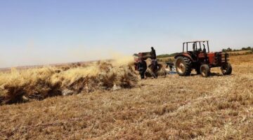 محافظ أسوان : نجاح مديرية التموين فى توريد 104 ألف و310 طن من القمح