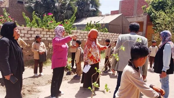 محافظ أسوان يوجه باستمرار زراعة الأشجار الظليلة في المدارس ومراكز الشباب محافظ أسوان يوجه باستمرار زراعة الأشجار الظليلة في المدارس ومراكز الشباب