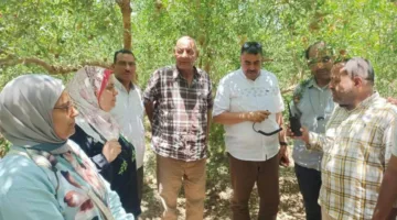 محافظ أسيوط: اجتماعات منتظمة مع مزارعي الرمان لمناقشة التحديات وتعزيز القطاع الزراعي
