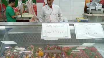 محافظ أسيوط: توفير لحوم طازجة ومجمدة بأسعار مخفضة تحضيراً لعيد الأضحى