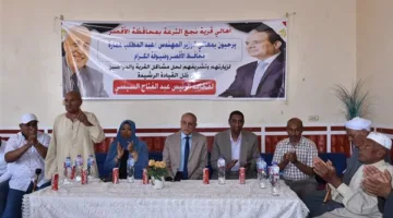 محافظ الأقصر يحدد تاريخ انطلاق مشروع الغاز الطبيعي في نجع الترعة (صور)