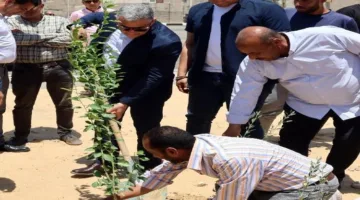 محافظ الإسماعيلية يراجع تحسينات طرق الحي الثالث ويشارك في زراعة أشجار مثمرة