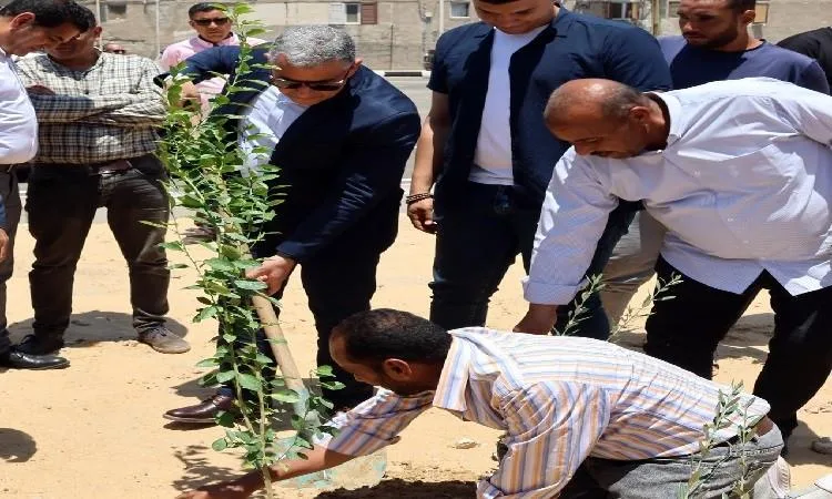 محافظ الإسماعيلية يراجع تحسينات طرق الحي الثالث ويشارك في زراعة أشجار مثمرة