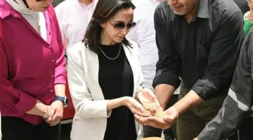محافظ البحيرة يراقب عمليات التسليم في صوامع حبوب النوبارية