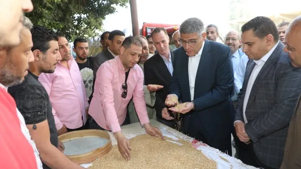 محافظ الجيزة: توريد 44 ألف طن قمح بالصوامع والشون حتى الآن