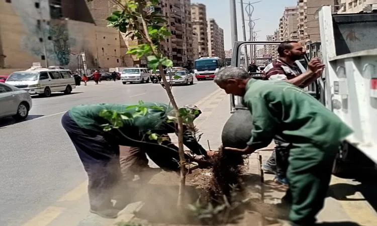 محافظ الجيزة: رفع ١٥٠ طن مخلفات في حملات نظافة مكبرة