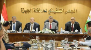 محافظ الجيزة يطلب اتخاذ تدابير وقائية لحماية أسواق وشوادر الماشية قبل عيد الأضحى