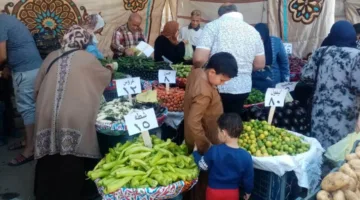 محافظ الدقهلية: استمرار إقامة أسواق اليوم الواحد بأسعار منافسة اليوم وغدًا