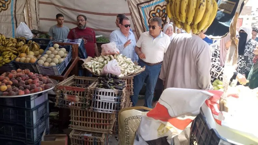 محافظ الدقهلية يتابع الالتزام بالأسعار في منافذ البيع وسوق اليوم الواحد