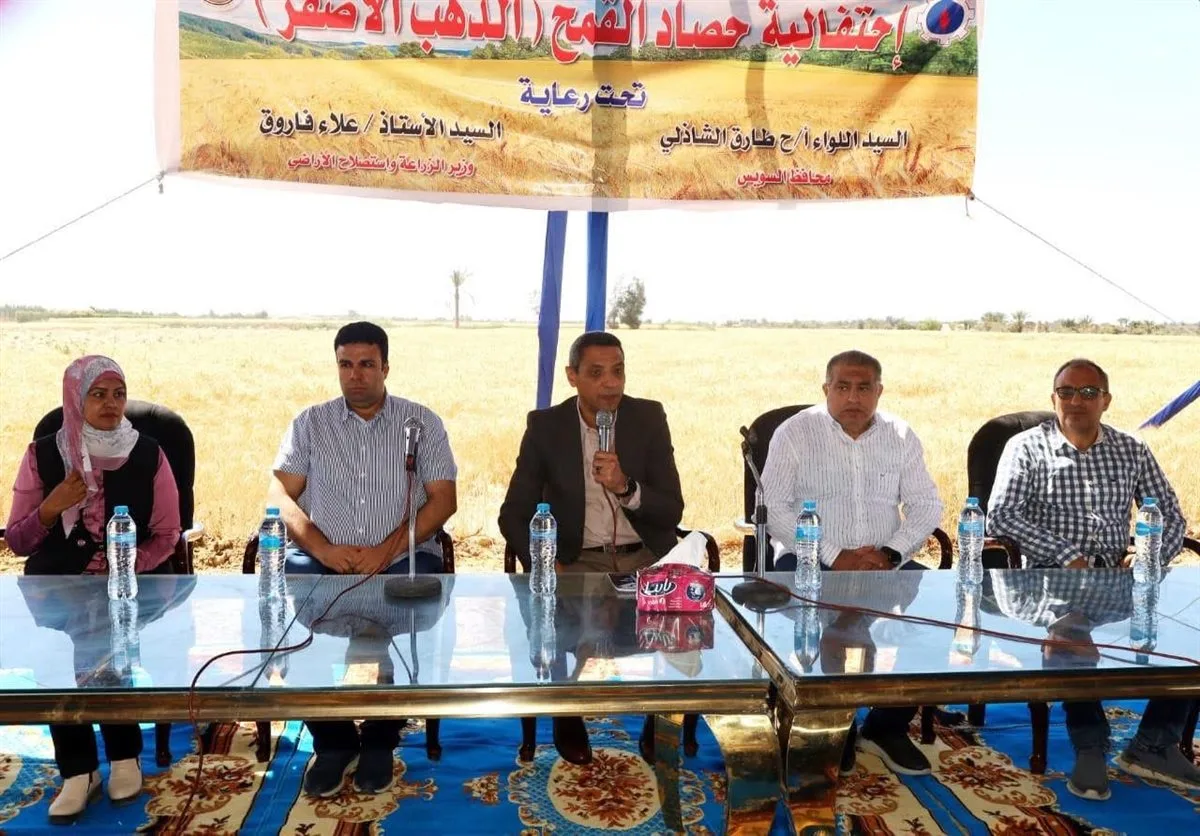 محافظ السويس يفتتح موسم حصاد القمح بقرية الشلوفة