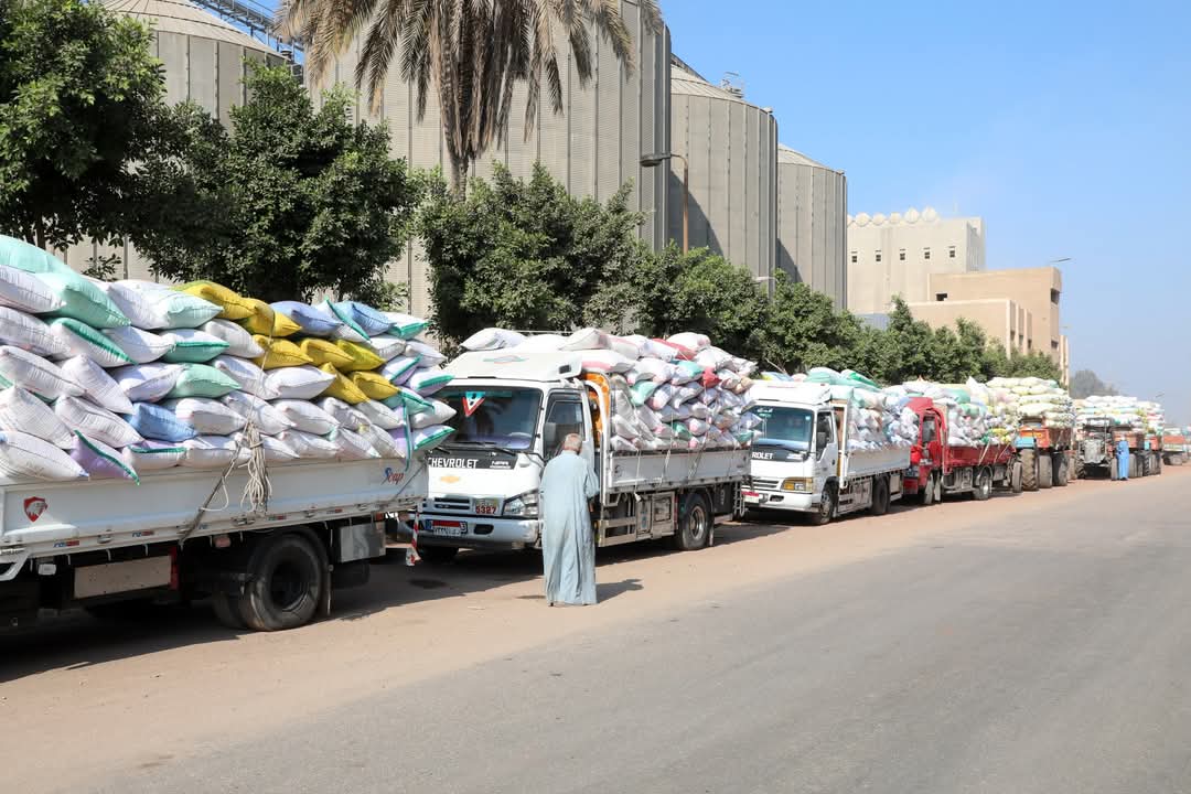 محافظ الشرقية: ضرورة التحقق من جودة الأقماح الموردة ومراقبة حالة التخزين