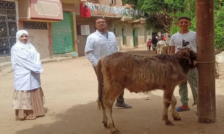 محافظ الفيوم يتابع جهود وأنشطة مديرية الطب البيطري خلال شهر أبريل الماضي