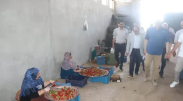 محافظ القليوبية يزور مزرعة الفراولة في ميت كنانة بطوخ