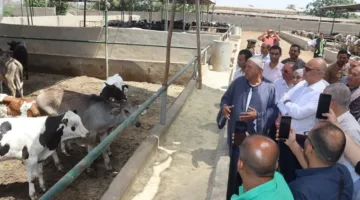 محافظ القليوبية يزور مزرعة لتربية الحيوانات في قرية العمار بطوخ