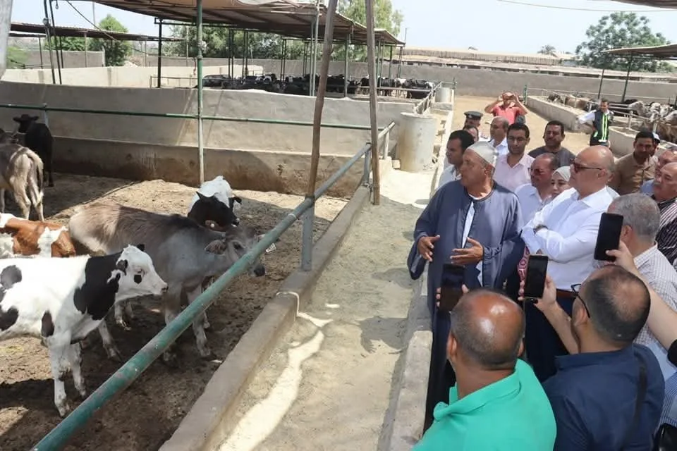محافظ القليوبية يزور مزرعة لتربية الحيوانات في قرية العمار بطوخ محافظ القليوبية يزور مزرعة لتربية الحيوانات في قرية العمار بطوخ