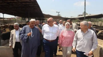 محافظ القليوبية يزور مزرعة لتربية الماشية في قرية العمار