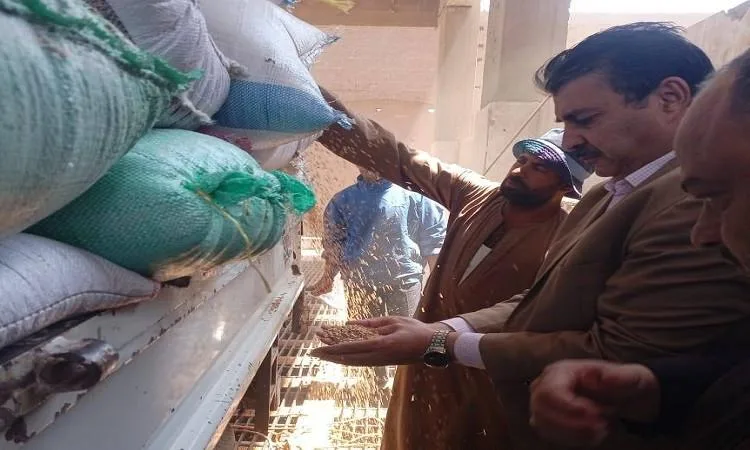 محافظ المنوفية: تسليم 100 ألف طن من القمح منذ انطلاق الموسم وحتى اللحظة الحالية