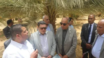 محافظ المنيا: المرحلة القادمة ستشهد توسعًا في العديد من المشاريع لتحقيق تنمية شاملة.