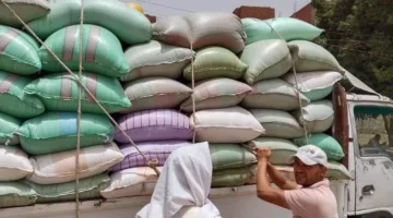 محافظ المنيا: تسليم 344 ألف طن من القمح إلى الصوامع والمخازن
