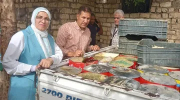 محافظ المنيا: لا تهاون في صحة المواطنين والحفاظ على الحملات الرقابية لمواجهة المخالفات التموينية.