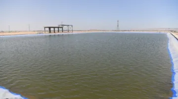 محافظ قنا ورئيس جهاز التعمير يتفقدان مشروع استصلاح 390 فدانًا بمنطقة الشيخ علي بنجع حمادي