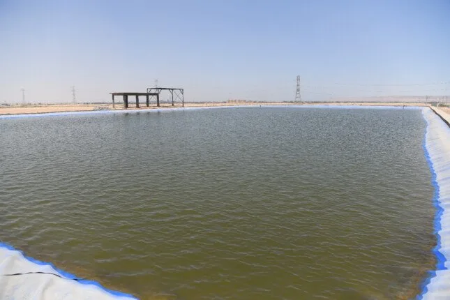 محافظ قنا ورئيس جهاز التعمير يتفقدان مشروع استصلاح 390 فدانًا بمنطقة الشيخ علي بنجع حمادي