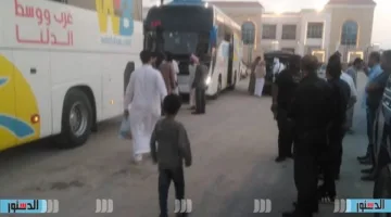 محافظ مطروح: تخصيص 3 حافلات لنقل حجاج بيت الله إلى مطار القاهرة
