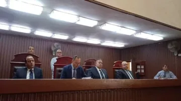 محكمة تقضي بتشديد العقوبة على متهم بترويج المخدرات وحيازة سلاح ناري في شبرا الخيمة