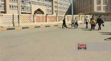 محكمة جنايات القاهرة تحيل ملف متهم بقتل زوجته إلى المفتي