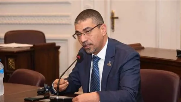 محمد البدري: وقف العدوان على غزة السبيل الحقيقي لضمان أمن البحر الأحمر