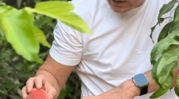 محمد دياب يشارك جمهوره لقطات من مزرعة الخوخ.. (فيديو)