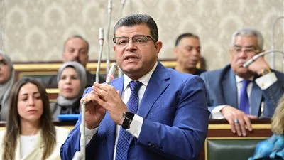 محمد سليمان: مشروع قانون الفتوى يتصدى لغير المختصين والفوضى التي يشهدها المجتمع