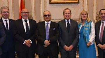محمد هيبة: الاتحاد الأوروبي يثمن تقدم ملف حقوق الإنسان في مصر