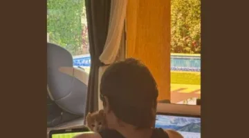 محمود فايز يتسبب في جدل حول انتسابه للجهاز الفني لخوسيه ريفيرو في الأهلي (صورة)