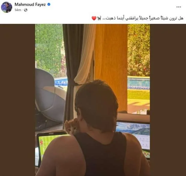 محمود فايز يتسبب في جدل حول انتسابه للجهاز الفني لخوسيه ريفيرو في الأهلي (صورة) محمود فايز يتسبب في جدل حول انتسابه للجهاز الفني لخوسيه ريفيرو في الأهلي (صورة)