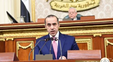 محمود فوزي: الرقابة القضائية على الانتخابات مستمرة.