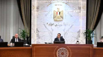 مدبولي: الرئيس شدد اليوم على ضرورة انخراط القطاع الخاص في مجال الزراعة