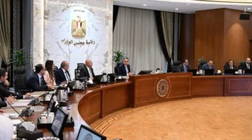 مدبولي يناقش مع “الاستشارية لتنمية الصادرات” خطة برنامج رد الأعباء عن الصادرات