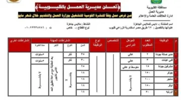 مديرية العمل بالقليوبية تقدم 627 فرصة عمل في 4 شركات خاصة