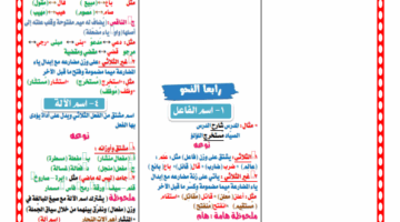 مذكرة ليلة امتحان الدارسات الاجتماعية لـ الصف الثالث الاعدادي