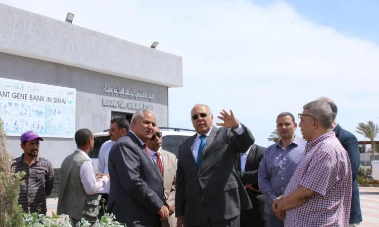 “مركز بحوث الصحراء” ينظم ورشة تدريبية للشباب الإفريقي لمواجهة التصحر “مركز بحوث الصحراء” ينظم ورشة تدريبية للشباب الإفريقي لمواجهة التصحر