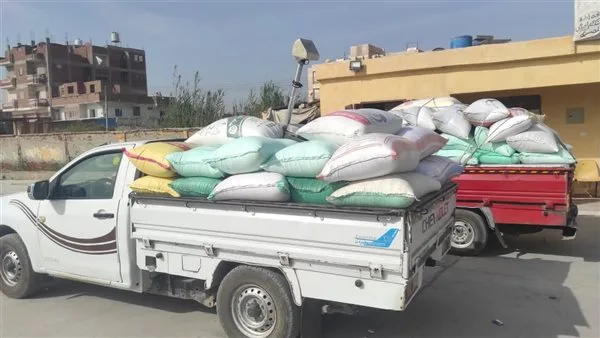 مزارعو البحيرة يواصلون توريد القمح واستلام أكثر من 108 آلاف طن حتى اليوم