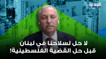 مسؤول فلسطيني: لا يمكن إنهاء وجود سلاحنا في لبنان دون حل القضية الفلسطينية! (فيديو)