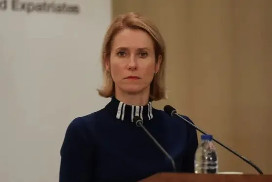 مسؤولة في الاتحاد الأوروبي تشدد على أهمية إدخال المساعدات الإنسانية إلى غزة بشكل عاجل. مسؤولة في الاتحاد الأوروبي تشدد على أهمية إدخال المساعدات الإنسانية إلى غزة بشكل عاجل.