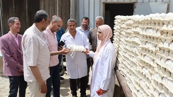 مساعد السكرتير العام في بني سويف يراقب مشاريع الدواجن المركزية مساعد السكرتير العام في بني سويف يراقب مشاريع الدواجن المركزية