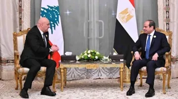 مساعدة في مصر: تعزيز التعاون في المجالات السياسية والاقتصادية والعسكرية