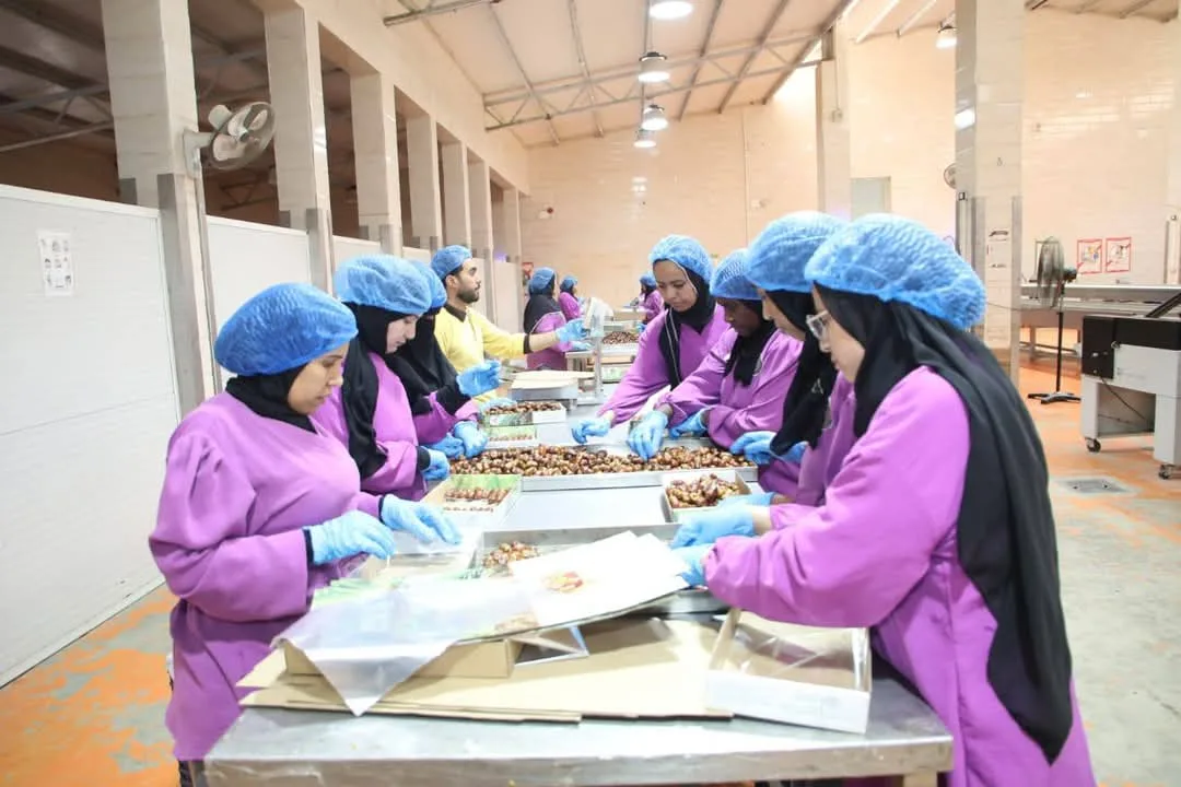 مستشار الرئيس للتنمية المحلية ومحافظ الوادي الجديد يتفقدان مجمع التمور | صور