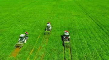 مشاريع وطنية لتوسيع المساحات الزراعية.. مصر تقترب من تحقيق الاكتفاء الذاتي في جميع المحاصيل.