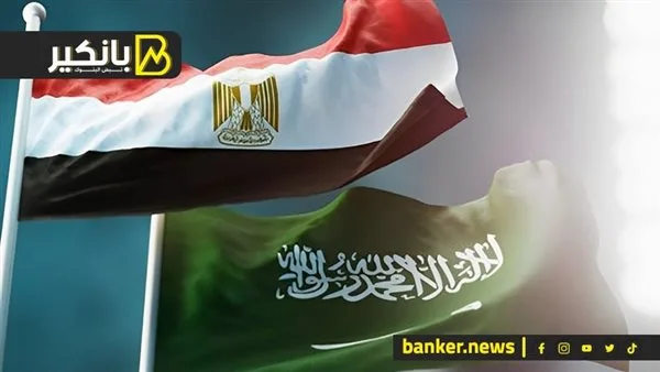 مشروعات بمليارات الدولارات في قطاعات حيوية.. تعاون هيغير قواعد اللعبة بين مصر والسعودية