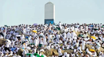 زيادة عدد رحلات حجاج السياحة وتوزيع لجان البعثة في مكة والمدينة
